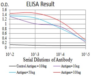 Mouse Monoclonal Antibody to BIN1