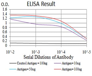 Mouse Monoclonal Antibody to CD2