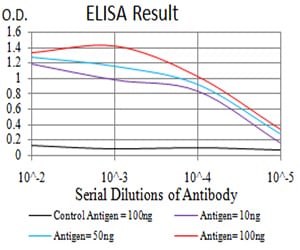 Mouse Monoclonal Antibody to DDX1