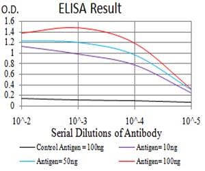 Mouse Monoclonal Antibody to CALB2