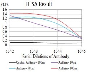 Mouse Monoclonal Antibody to CALB2