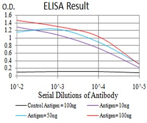 Mouse Monoclonal Antibody to ZFP91