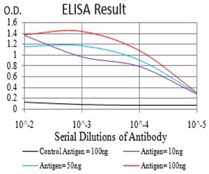 Mouse Monoclonal Antibody to BUB1