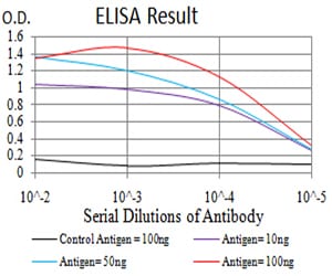 Mouse Monoclonal Antibody to UL37