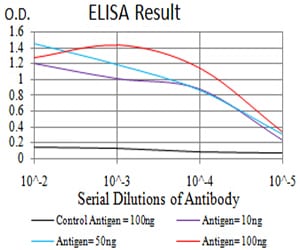 Mouse Monoclonal Antibody to ESRRA