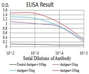 Mouse Monoclonal Antibody to SYK