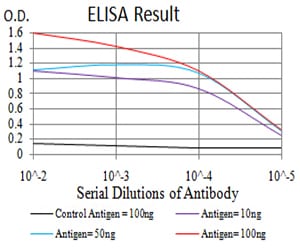 Mouse Monoclonal Antibody to IDH1