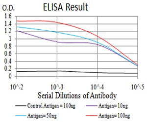 Mouse Monoclonal Antibody to VP2