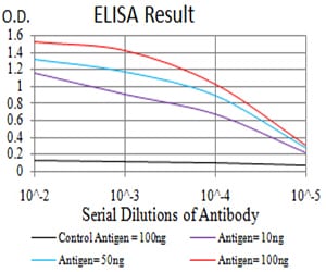 Mouse Monoclonal Antibody to ALK