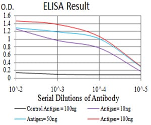 Mouse Monoclonal Antibody to CPV-VP2