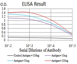 Mouse Monoclonal Antibody to AFAP1L2