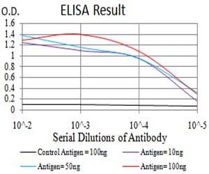 Mouse Monoclonal Antibody to MMP2