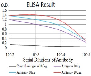 Mouse Monoclonal Antibody to P2RX7