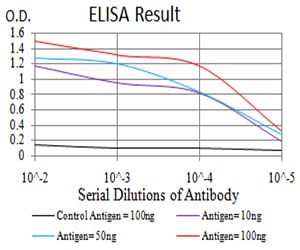 Mouse Monoclonal Antibody to KRT10