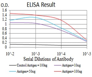 Mouse Monoclonal Antibody to KRT10