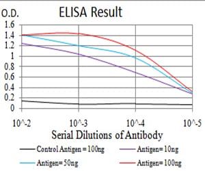 Mouse Monoclonal Antibody to ADRB2