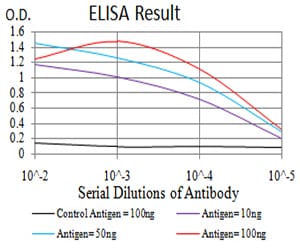 Mouse Monoclonal Antibody to CCND1