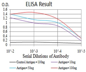 Mouse Monoclonal Antibody to NS1