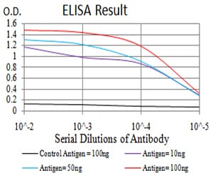 Mouse Monoclonal Antibody to CIRBP