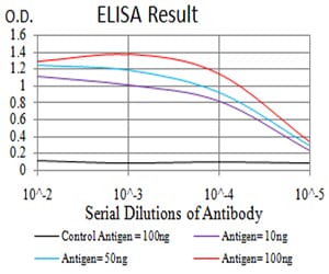 Mouse Monoclonal Antibody to TCF4