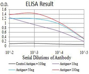 Mouse Monoclonal Antibody to CDC37