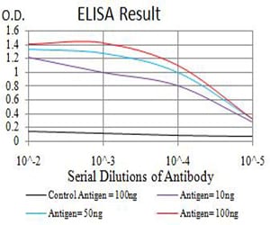 Mouse Monoclonal Antibody to ATF4
