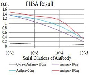 Mouse Monoclonal Antibody to ADIPOQ