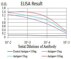 Mouse Monoclonal Antibody to ATG2A