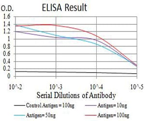 Mouse Monoclonal Antibody to ATG2A