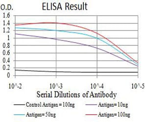 Mouse Monoclonal Antibody to AFAP1L2