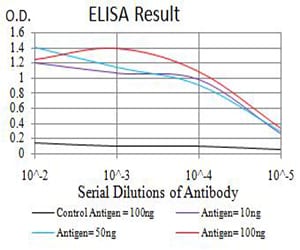 Mouse Monoclonal Antibody to TFAP2A