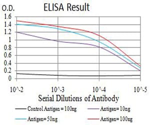 Mouse Monoclonal Antibody to TFAP2A