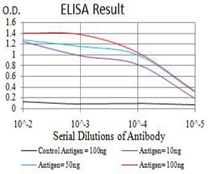 Mouse Monoclonal Antibody to PAK3