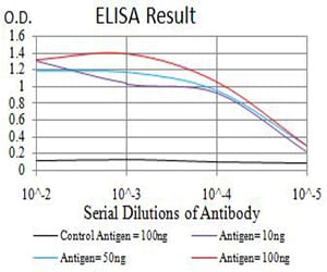 Mouse Monoclonal Antibody to PRKAA2