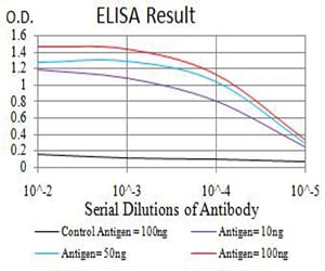 Mouse Monoclonal Antibody to ARHGAP42