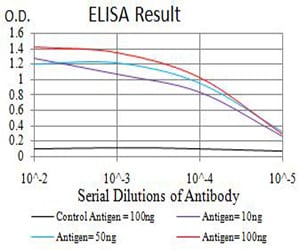 Mouse Monoclonal Antibody to AMY1A