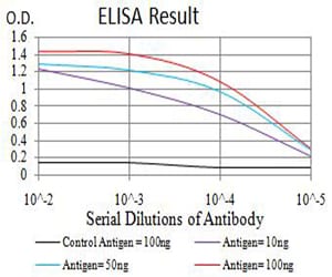 Mouse Monoclonal Antibody to AMY1A
