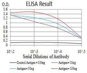 Mouse Monoclonal Antibody to AEBP2