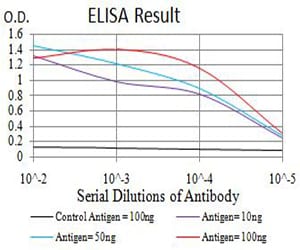 Mouse Monoclonal Antibody to ASF1B