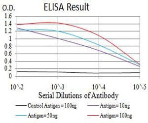 Mouse Monoclonal Antibody to IGLC2