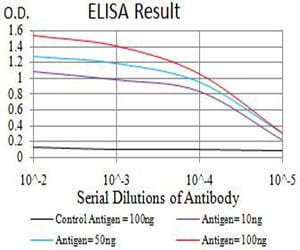Mouse Monoclonal Antibody to TFAP2C
