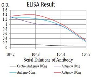 Mouse Monoclonal Antibody to KDM4B