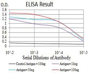 Mouse Monoclonal Antibody to ADAR