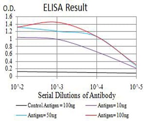 Mouse Monoclonal Antibody to ATG7