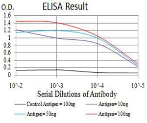 Mouse Monoclonal Antibody to ATG3