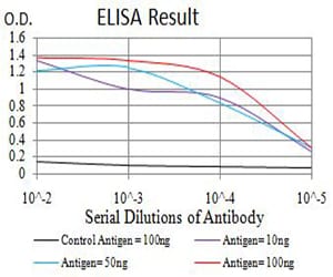 Mouse Monoclonal Antibody to ATG3