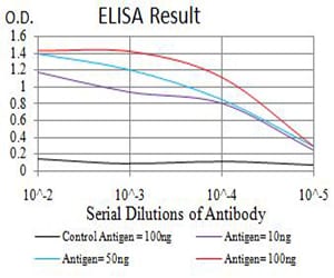 Mouse Monoclonal Antibody to RIPK4