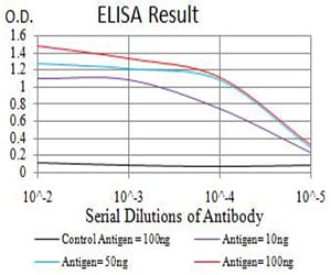 Mouse Monoclonal Antibody to APEX1
