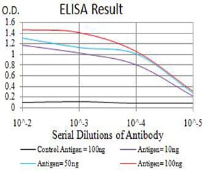 Mouse Monoclonal Antibody to RUNX3