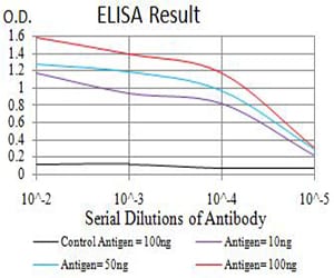 Mouse Monoclonal Antibody to RUNX3